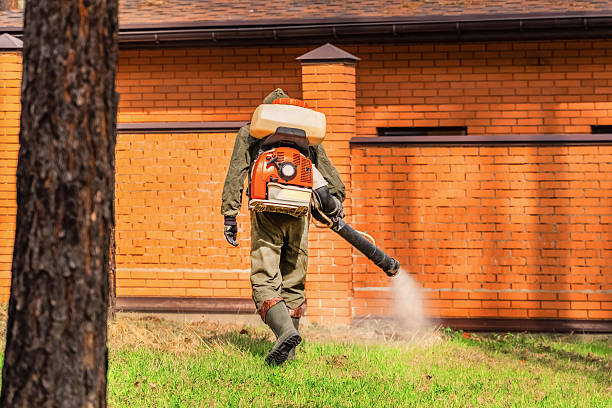 Trusted Fumigation Services service in Denver, CO - Nex Pest Control